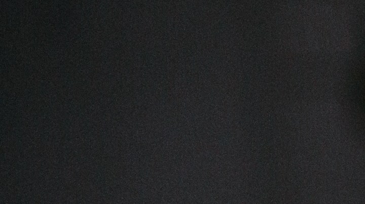 4 Señales que dan las hojas de tu plantas cuando están enfermas y cómo cuidarlas