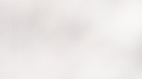 El tamaño de las hormigas y lo que están haciendo, son detalles fundamentales para conocer el significado de soñar con ellas.