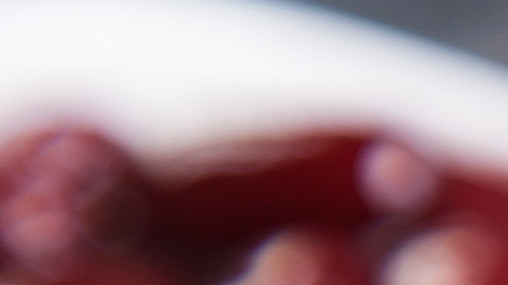 Aunque tu presentación de comida rápida luzca muy "gourmet", no conoces el proceso de asepsia al que se sometieron esos vegetales.