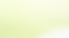 Elixir con vitamina B12 para fortalecer el sistema inmunológico y bajar de peso