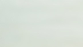 13 Alimentos que pueden ayudarte a controlar el colesterol