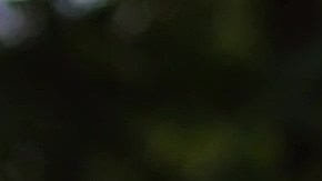 Caminar descalzo sí tienes beneficios para la salud física y emocional, según experto