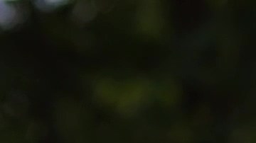 Caminar descalzo sí tienes beneficios para la salud física y emocional, según experto