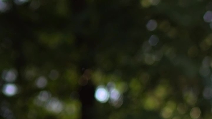 Caminar descalzo sí tienes beneficios para la salud física y emocional, según experto