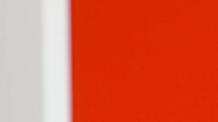 Cómo eliminar las mosquitas de la cocina