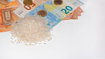Cuántos granos de arroz debes llevar en la billetera para atraer dinero, según el Feng Shui