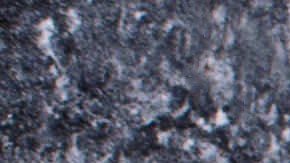 Dieta cavernícola: Estos son los alimentos que incluye y cómo afectan al cuerpo