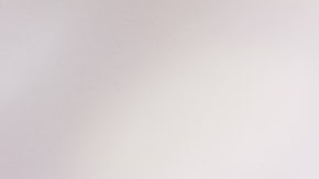 OMS advierte sobre expansión de la Gripe Aviar: "Se está acercando a los humanos"