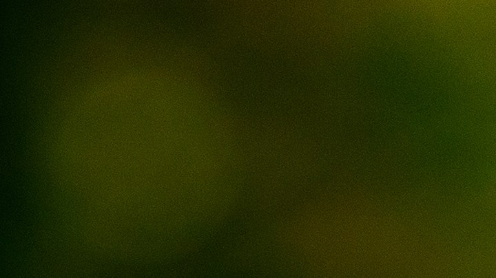 Hongos mágicos, ¿mito o realidad?: Qué son y cómo usarlos