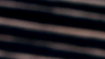 Más de 10 beneficios tiene consumir manzanilla en todos sus tipos