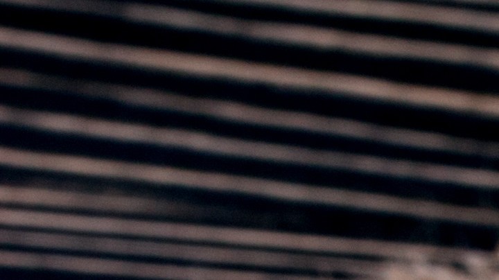 Más de 10 beneficios tiene consumir manzanilla en todos sus tipos