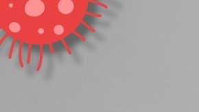 Según estudio, 15 minutos son suficientes para fortalecer el sistema inmune