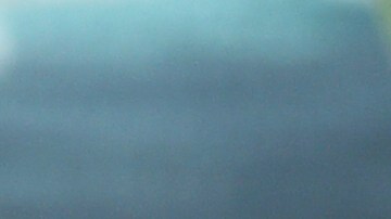 Un trozo de carne que está en buenas condiciones ofrece colores vivos y se muestra apetitoso, pese a estar crudo.