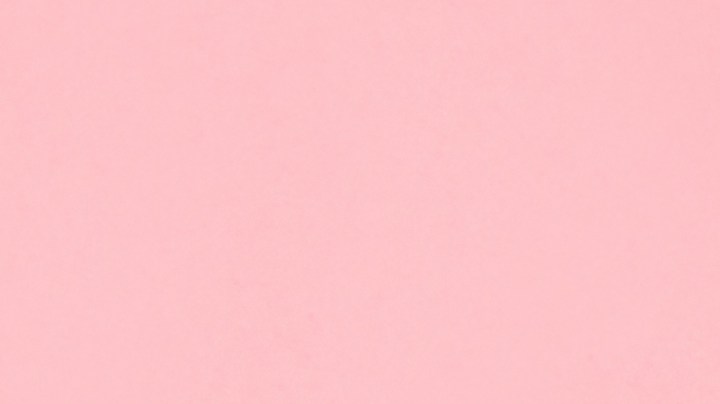 Cuando quedan restos de comida en un plato, inmediatamente se crea un ambiente favorable para las bacterias.