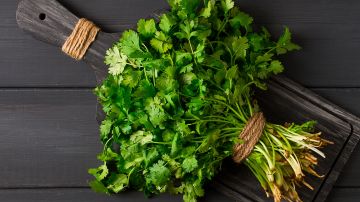 La mejor frescura y sabor del cilantro lo obtienes cuando se utiliza en los primeros días. Una semana ya es demasiado.
