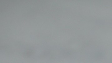 El pescado al horno es una de las preparaciones más saludables, pero hay otras que son especiales para chuparte los dedos.