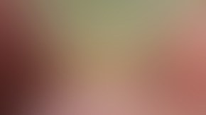 Frutas y verduras más expuestas a pesticidas, según informes