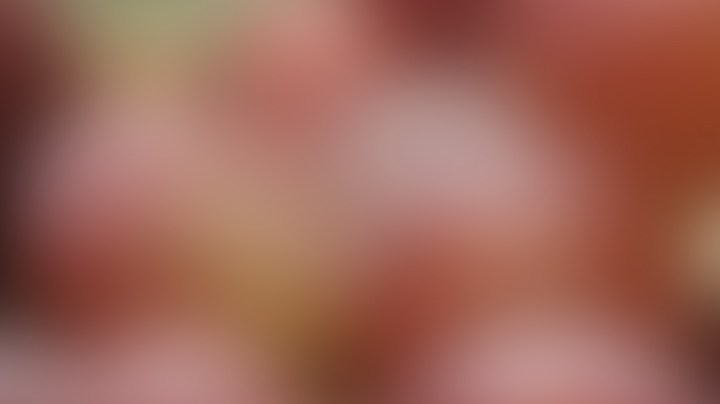 Frutas y verduras más expuestas a pesticidas, según informes