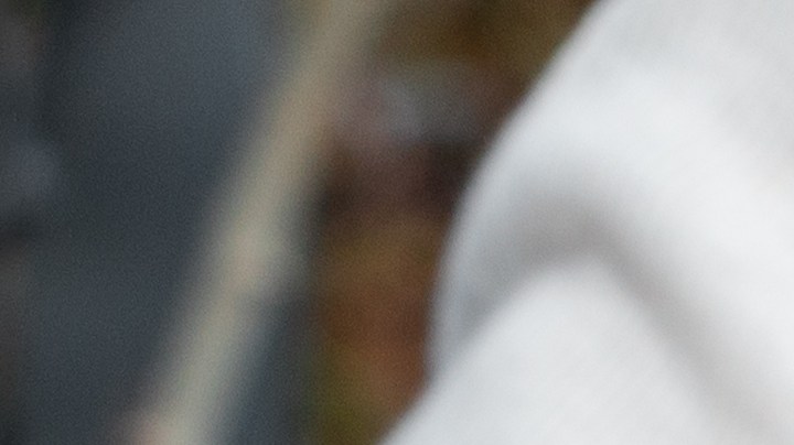 Cuando se trata de acompañantes saludables para el café, la canela en polvo nunca falla.