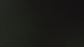 Melena de león: el poderoso hongo que controla el colesterol