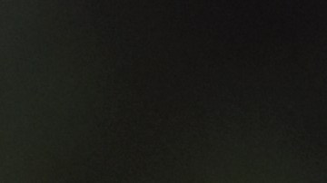 Melena de león: el poderoso hongo que controla el colesterol