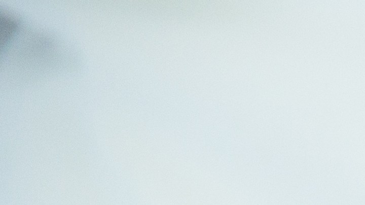 La sola idea de que el "miembro" se acorte con la edad, puede ser terrorífica para cualquier hombre.