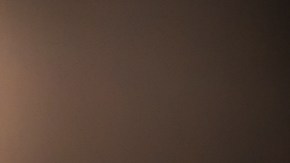 La albahaca orgánica contaminada fue vendida en múltiples tiendas Trader Joe's, en presentaciones de 2.5 onzas, en paquetes tipo almeja.