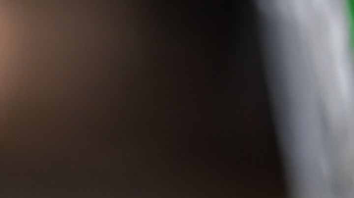 La albahaca orgánica contaminada fue vendida en múltiples tiendas Trader Joe's, en presentaciones de 2.5 onzas, en paquetes tipo almeja.