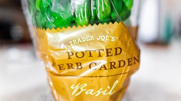 La albahaca orgánica contaminada fue vendida en múltiples tiendas Trader Joe's, en presentaciones de 2.5 onzas, en paquetes tipo almeja.