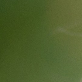 Los audífonos más dañinos para tu audición son aquellos que se adaptan como un tapón.