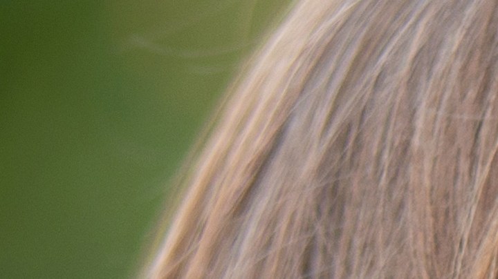 Los audífonos más dañinos para tu audición son aquellos que se adaptan como un tapón.