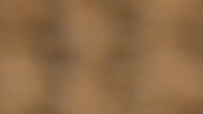 El extracto de té verde suele estar en pastillas para adelgazar, por lo que quizás excedes la dosis sin darte cuenta, causando daños en el hígado.