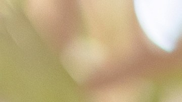 Después de los 60 años, antes de tomar cualquier suplemento, es conveniente que lo consultes con un médico particular.