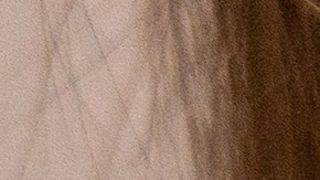 Las náuseas que provocan algunos suplementos, se debe especialmente al consumo de una dosis más alta de lo normal.