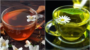El té negro y té verde varían en aroma e intensidad del sabor, además de que el primero contiene más cafeína.