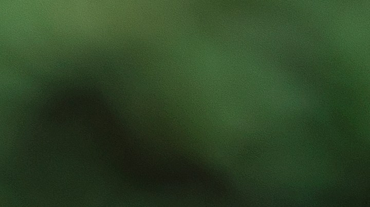 De acuerdo a las investigaciones, este té es capaz de reducir en 3 mmHg y 1 mmHg en la presión sistólica y diastólica, respectivamente.