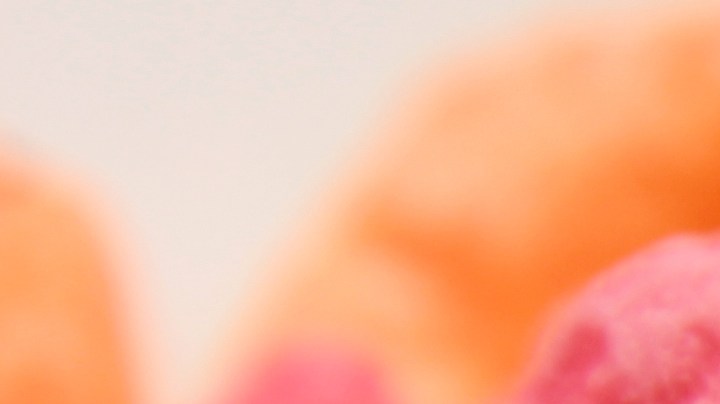 Durante décadas, el cereal de Froot Loops, con colorida presentación, se ha vuelto el desayuno preferido de muchos niños.