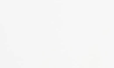 microbiota intestinal