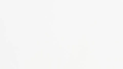 microbiota intestinal