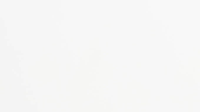 microbiota intestinal