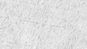 Cuando pienses en fibra, piensa en legumbres, un alimento que está muy infravalorado en Estados Unidos.