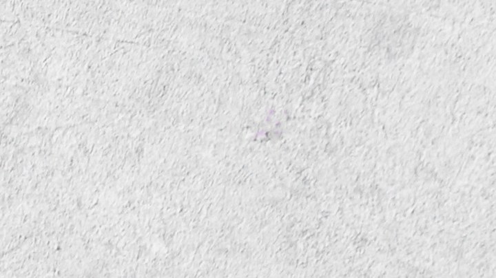 Cuando pienses en fibra, piensa en legumbres, un alimento que está muy infravalorado en Estados Unidos.