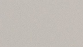 Las bolsas de alimento para perros retiradas del mercado son de los sabores "carne a la parrilla" y "vegetales".