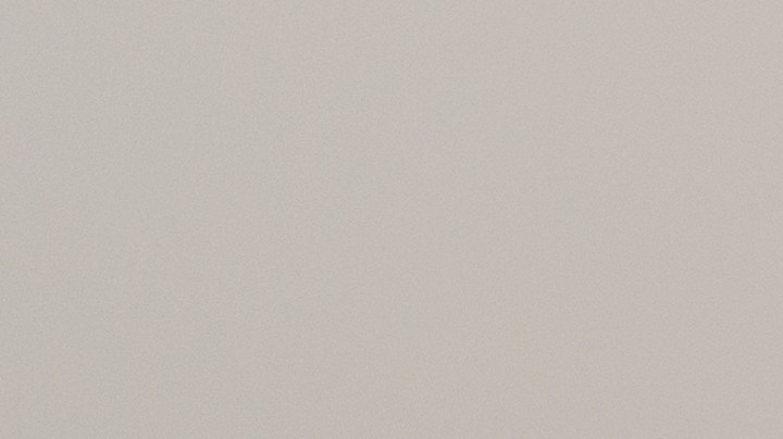 Las bolsas de alimento para perros retiradas del mercado son de los sabores "carne a la parrilla" y "vegetales".