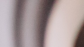 Las altas temperaturas que podrían acumularse dentro de un vehículo aumentan la exposición a la sustancia que podría desarrollar cáncer.