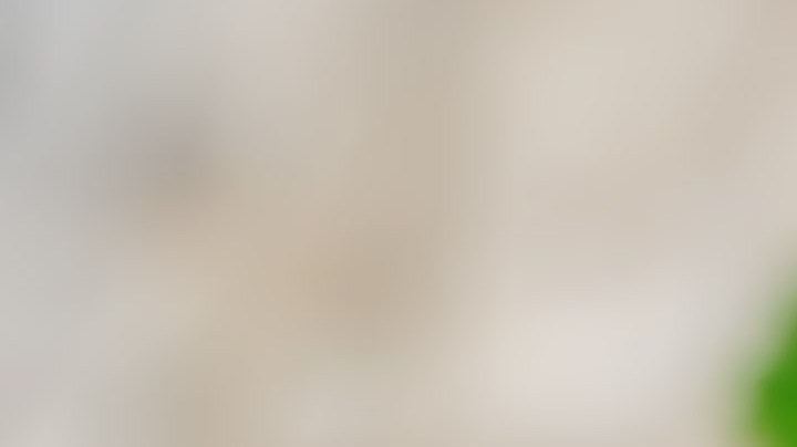 Antes de congelar una rama de cilantro, considera que podría perder propiedades naturales, sin embargo, el sabor se mantendría intacto.