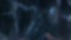 Hay bacterias que podrían contaminar todo un buffet cuando se aplican correctamente las medidas preventivas.