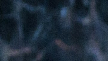 Hay bacterias que podrían contaminar todo un buffet cuando se aplican correctamente las medidas preventivas.