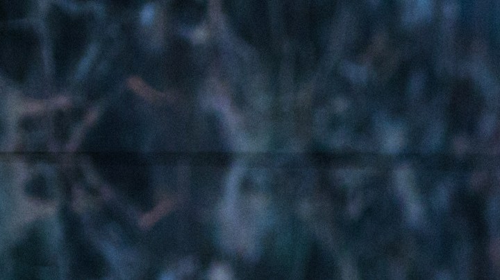 Hay bacterias que podrían contaminar todo un buffet cuando se aplican correctamente las medidas preventivas.