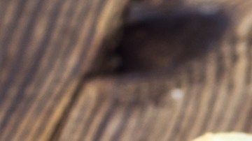 Cuando compres apio, procura que los tallos sean verdes, con un tono pálido, y crujientes.